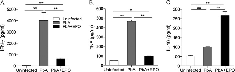 FIG 3