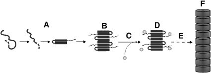 Fig. 10