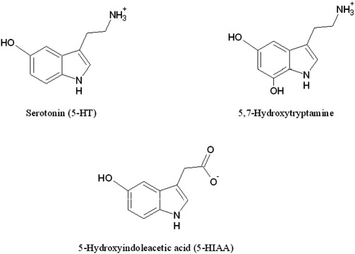 Fig. 9