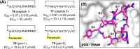 Figure 24