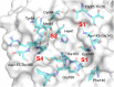 Figure 3