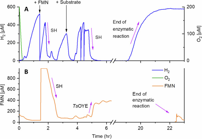 Fig. 2