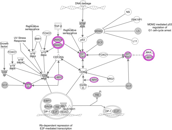 FIG 10