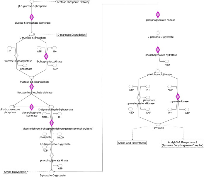 FIG 11