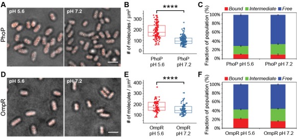 Figure 4—figure supplement 5.