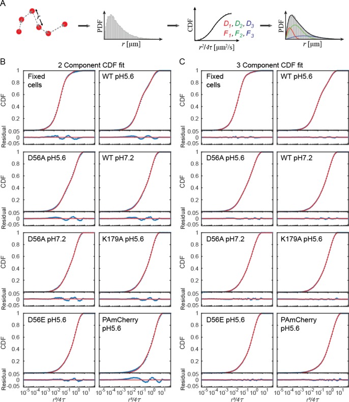 Figure 6—figure supplement 1.