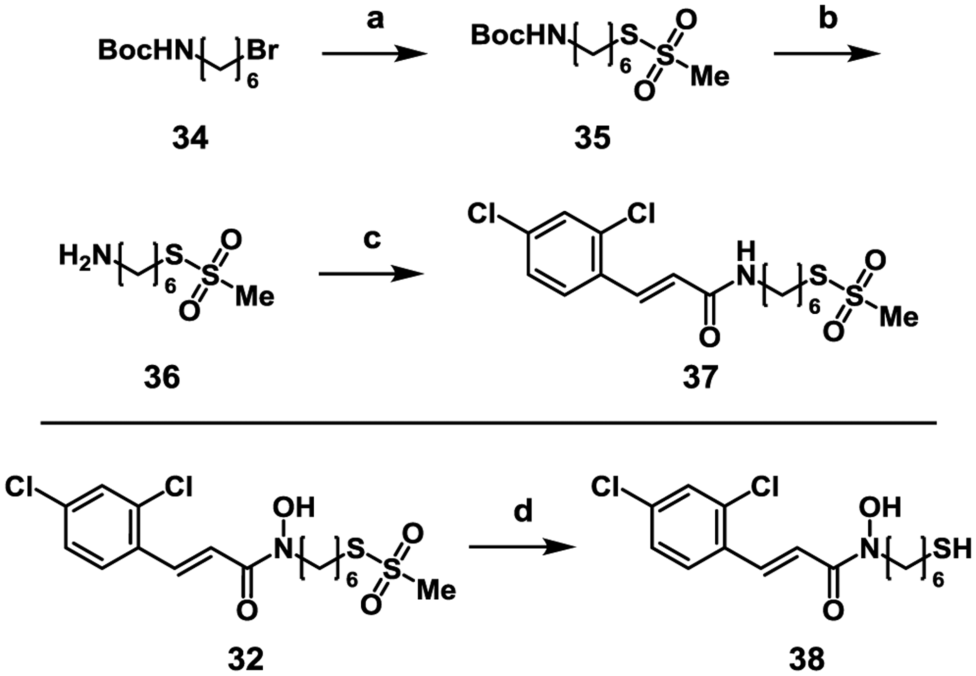 Scheme 3.