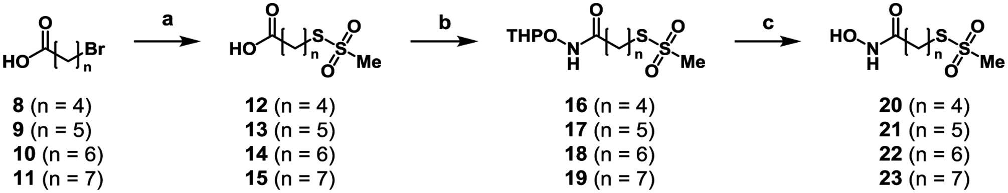 Scheme 1.