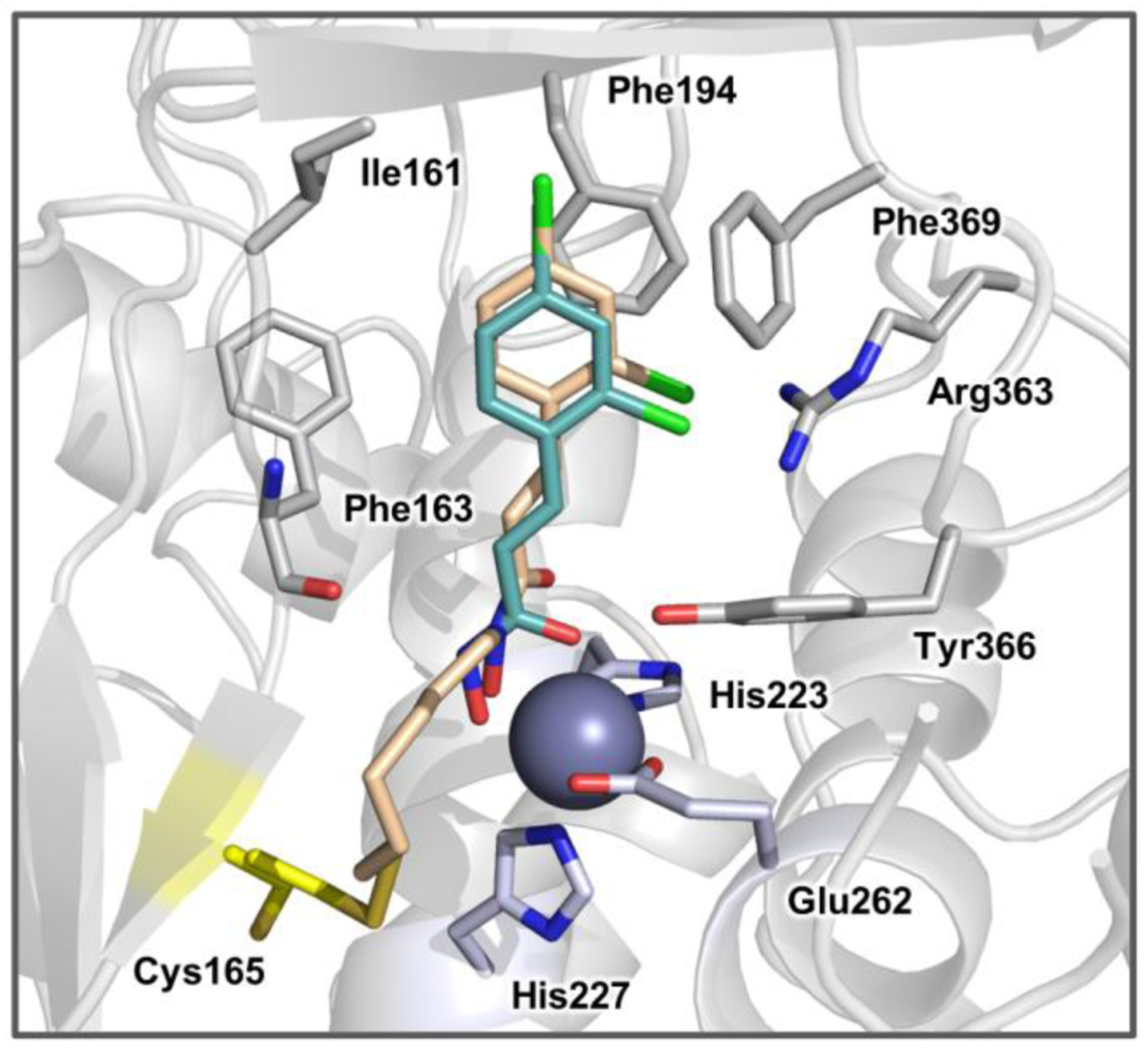 Figure 6.