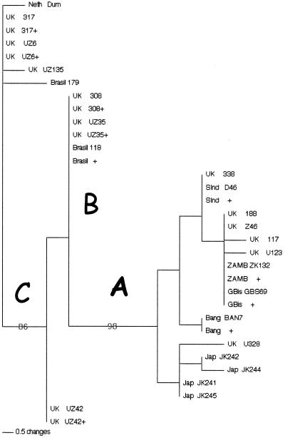 FIG. 2.