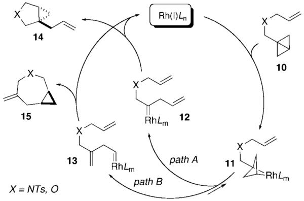 Scheme 2