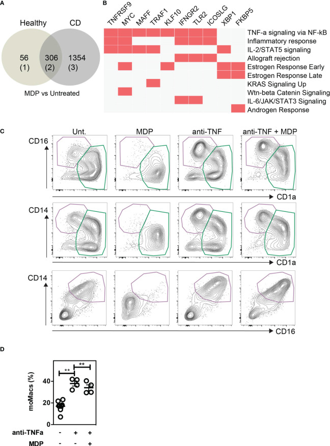 Figure 6