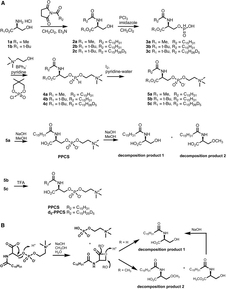 Fig. 4.