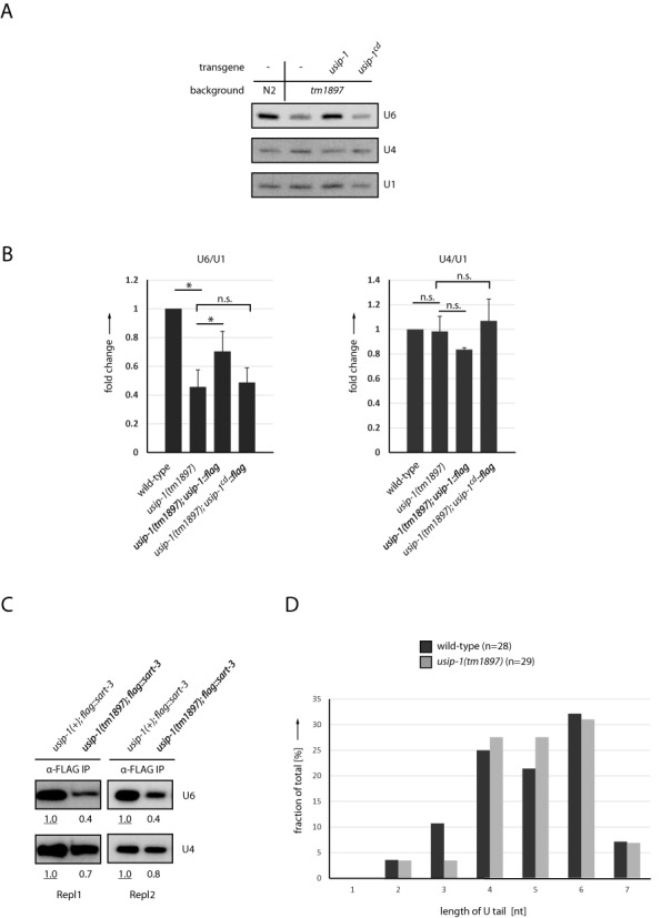 Figure 6.