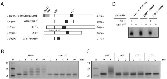 Figure 4.