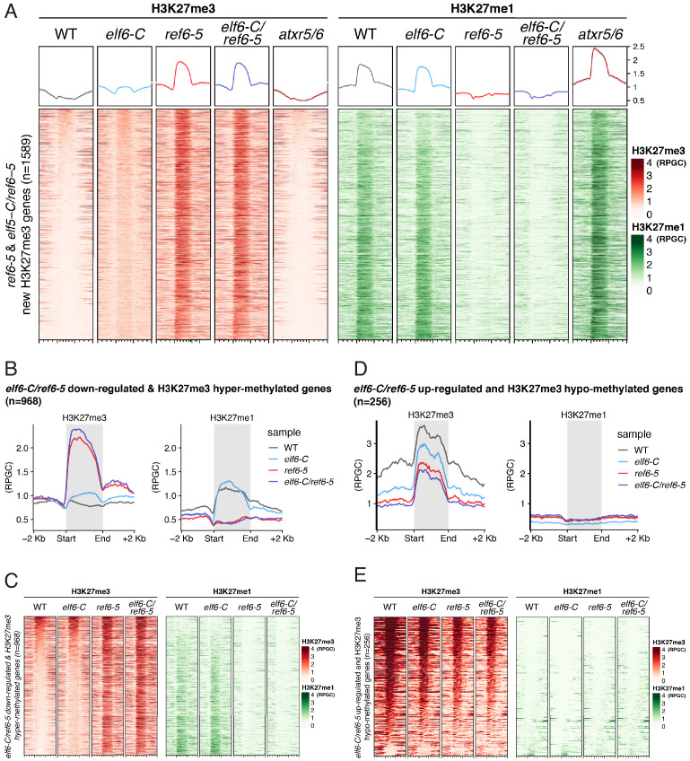 Figure 2—figure supplement 1.