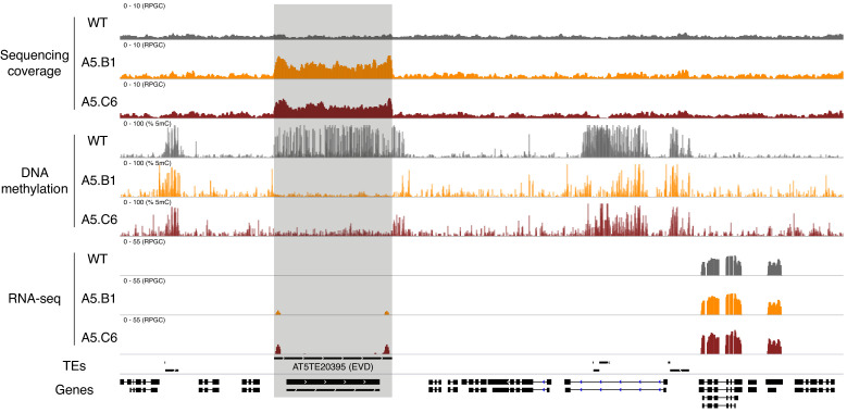 Figure 6—figure supplement 2.