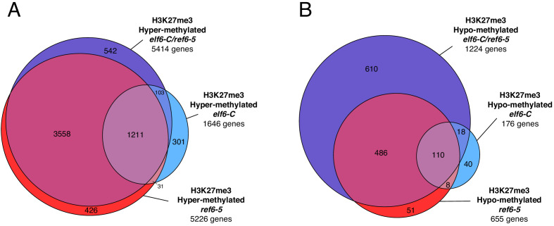 Figure 1—figure supplement 3.