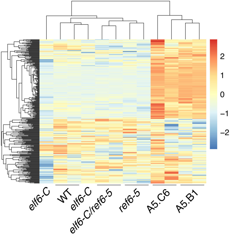 Figure 6—figure supplement 1.