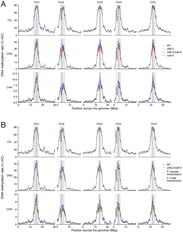 Figure 4—figure supplement 1.