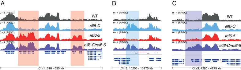 Figure 1—figure supplement 4.