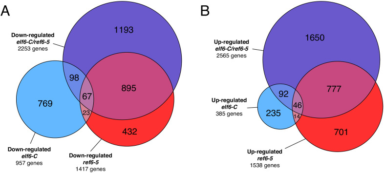 Figure 1—figure supplement 5.