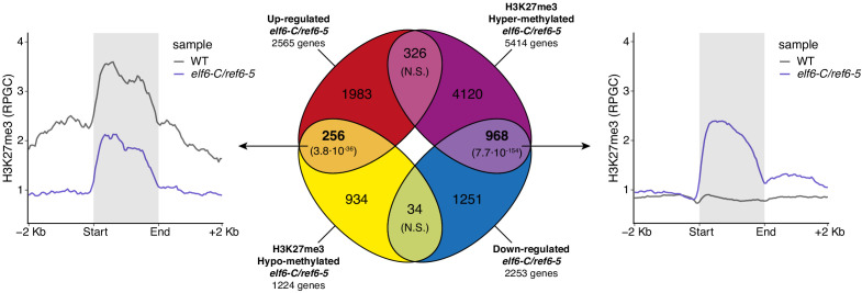 Figure 1—figure supplement 6.