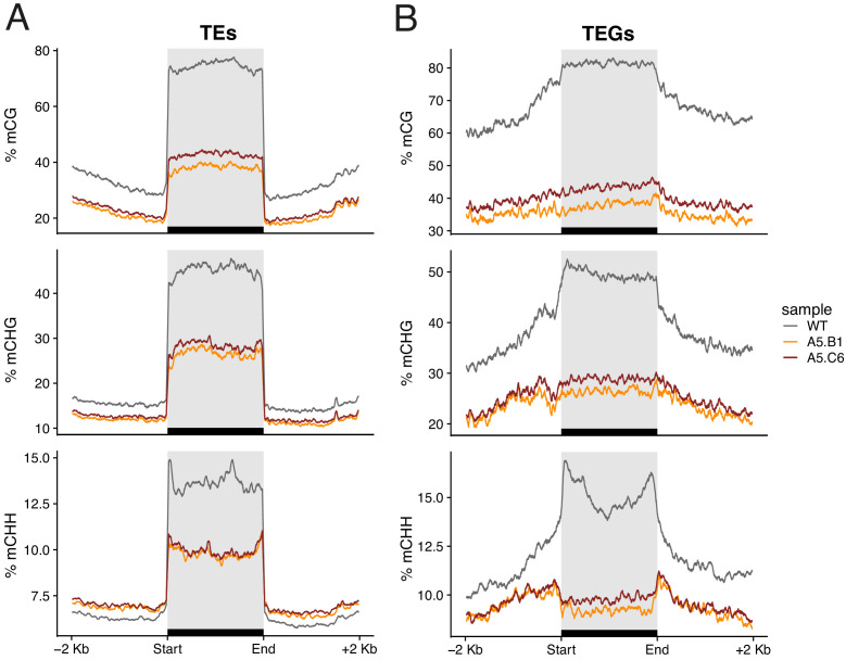 Figure 4—figure supplement 2.