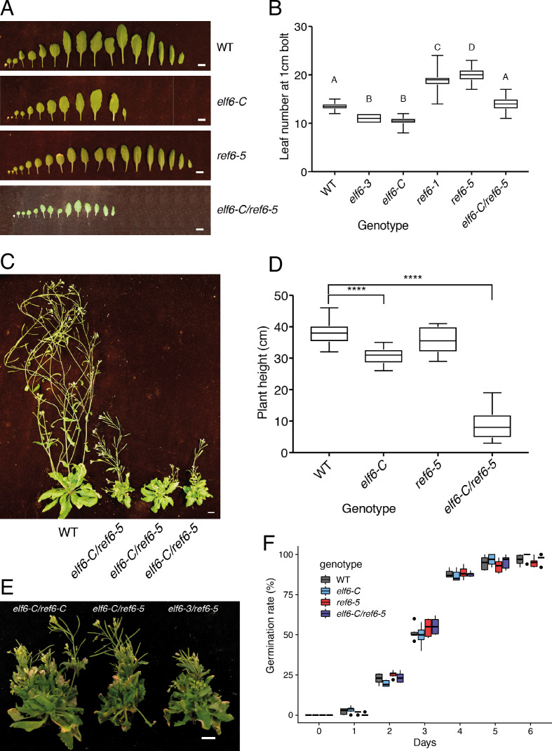 Figure 1—figure supplement 2.