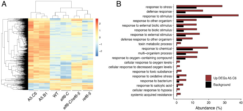 Figure 5—figure supplement 1.