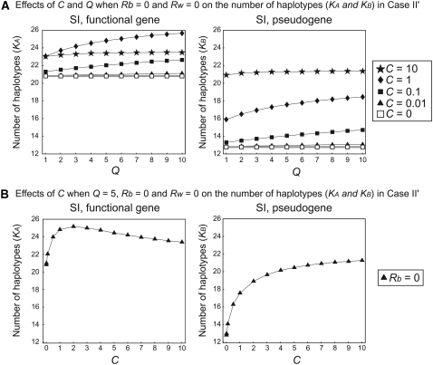 Figure 6.—