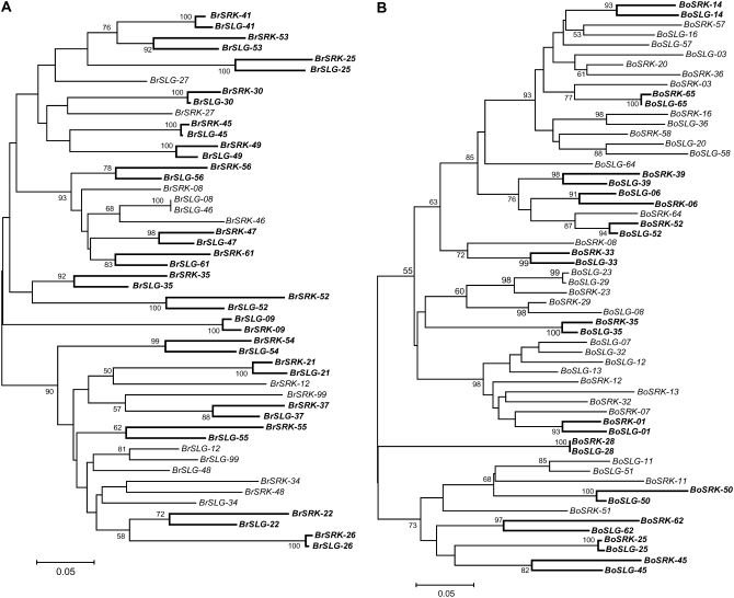 Figure 3.—