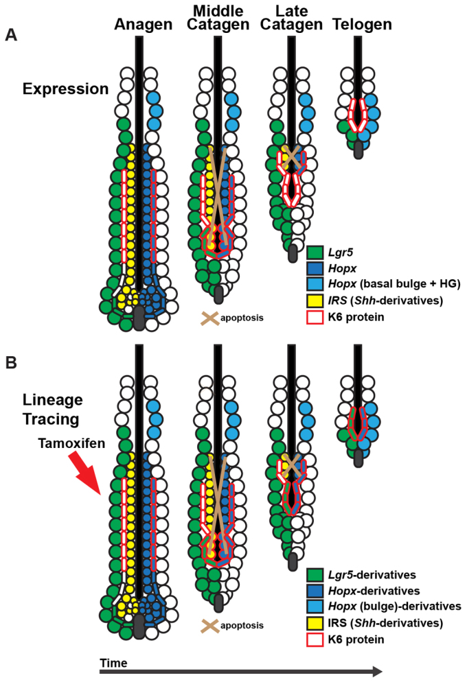 Fig. 6.