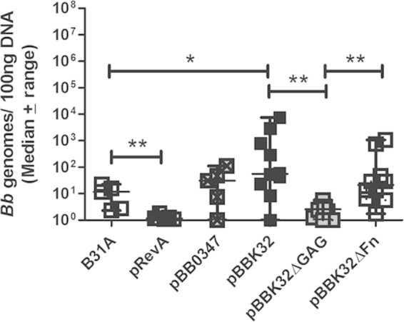 FIG 6