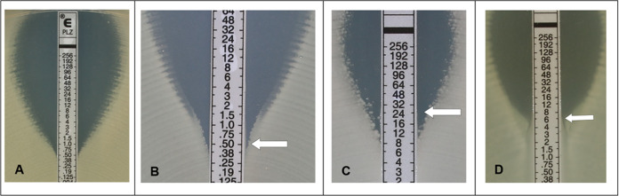 FIG 1