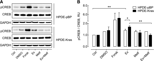 FIG. 8.