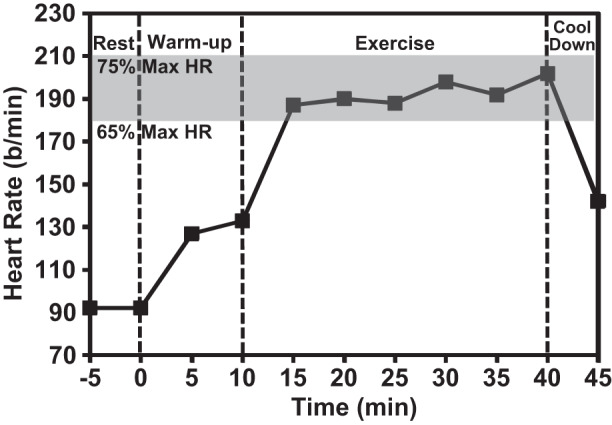 Fig. 9.