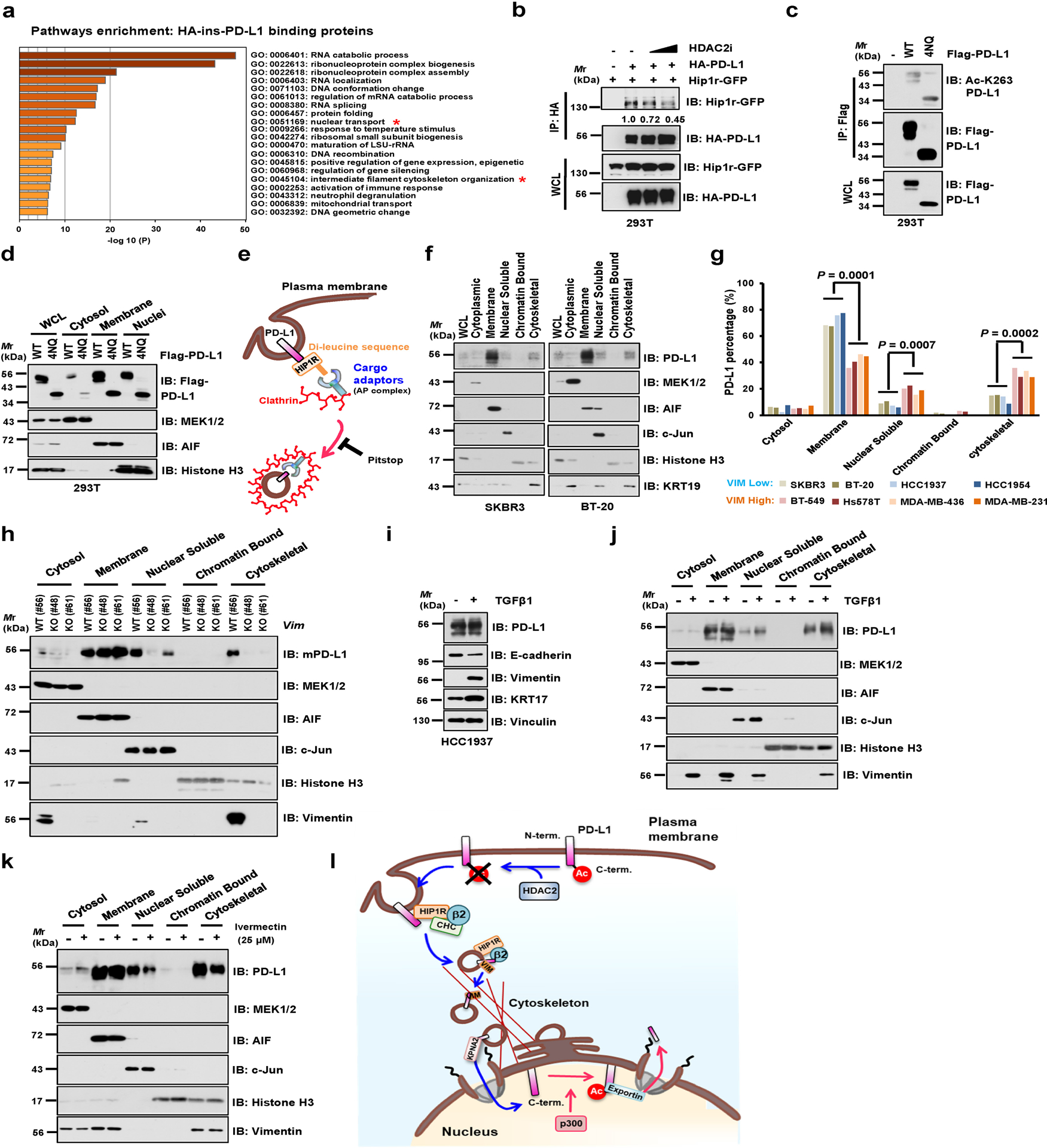 Extended Data Fig. 4