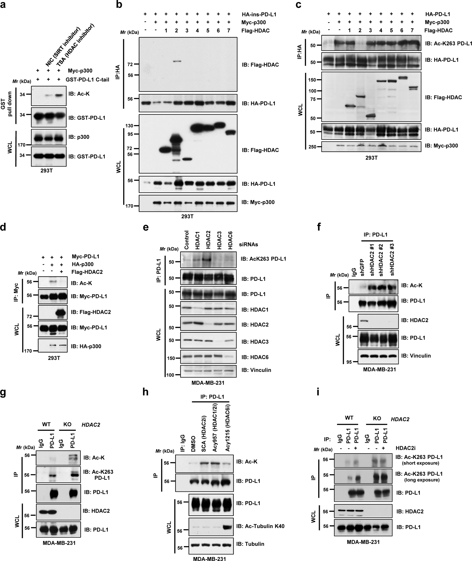 Figure 2 |