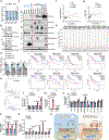 Extended Data Fig. 6