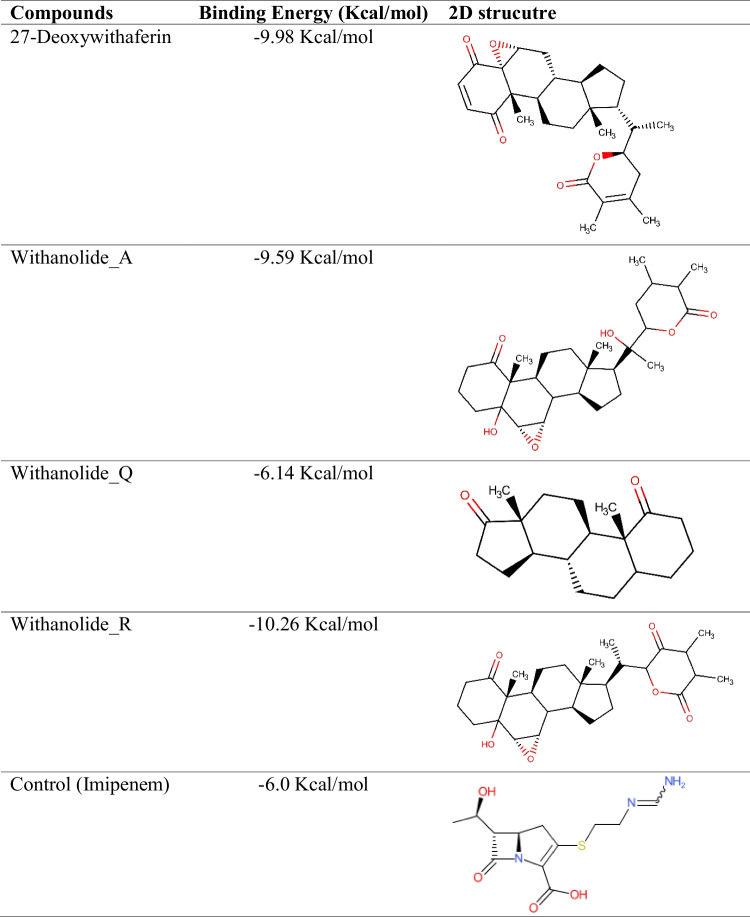 graphic file with name 894_2022_5336_Tab1_HTML.jpg