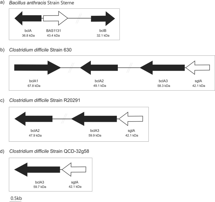 FIG 1