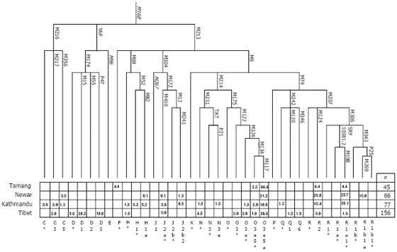 Figure  2. 