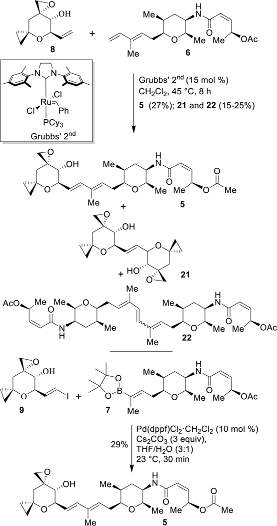 Scheme 4