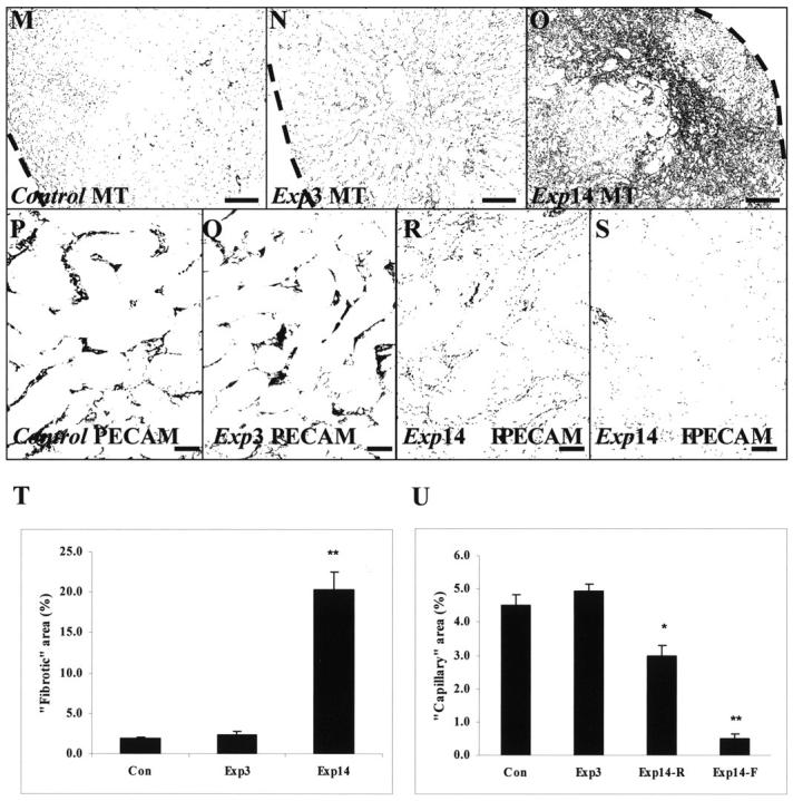 Figure 1A.