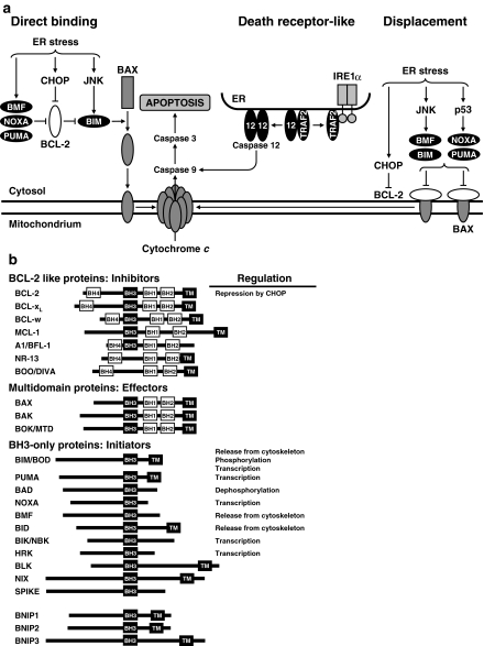 Fig. 7