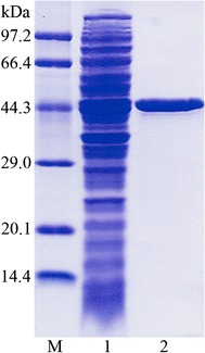 Fig. 2