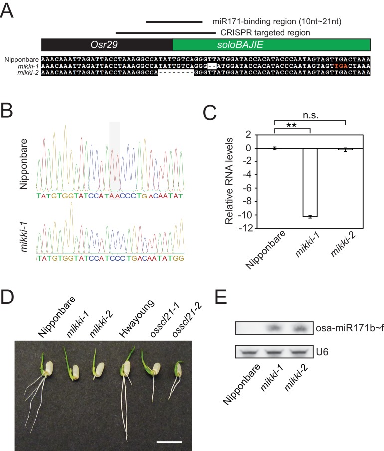 Figure 3—figure supplement 2.