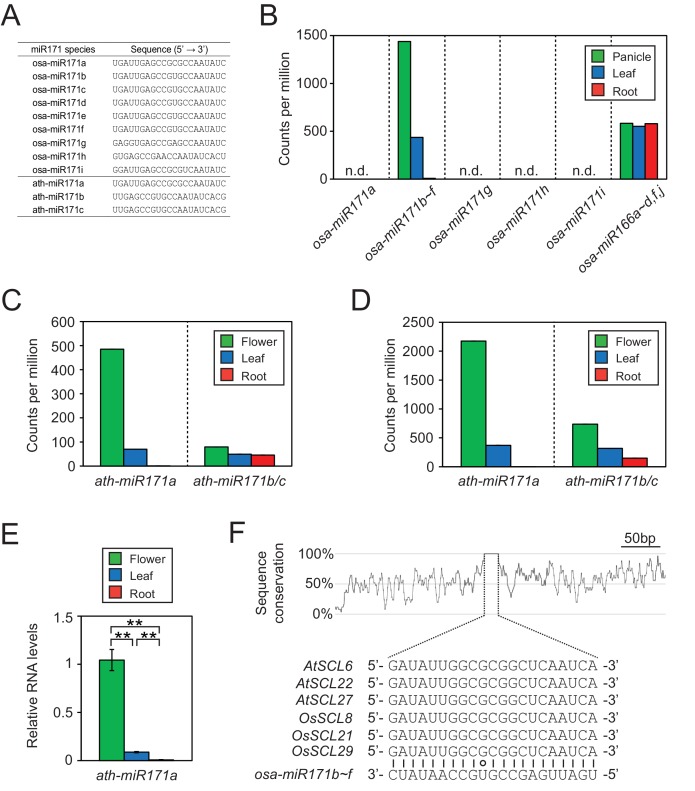 Figure 2—figure supplement 2.