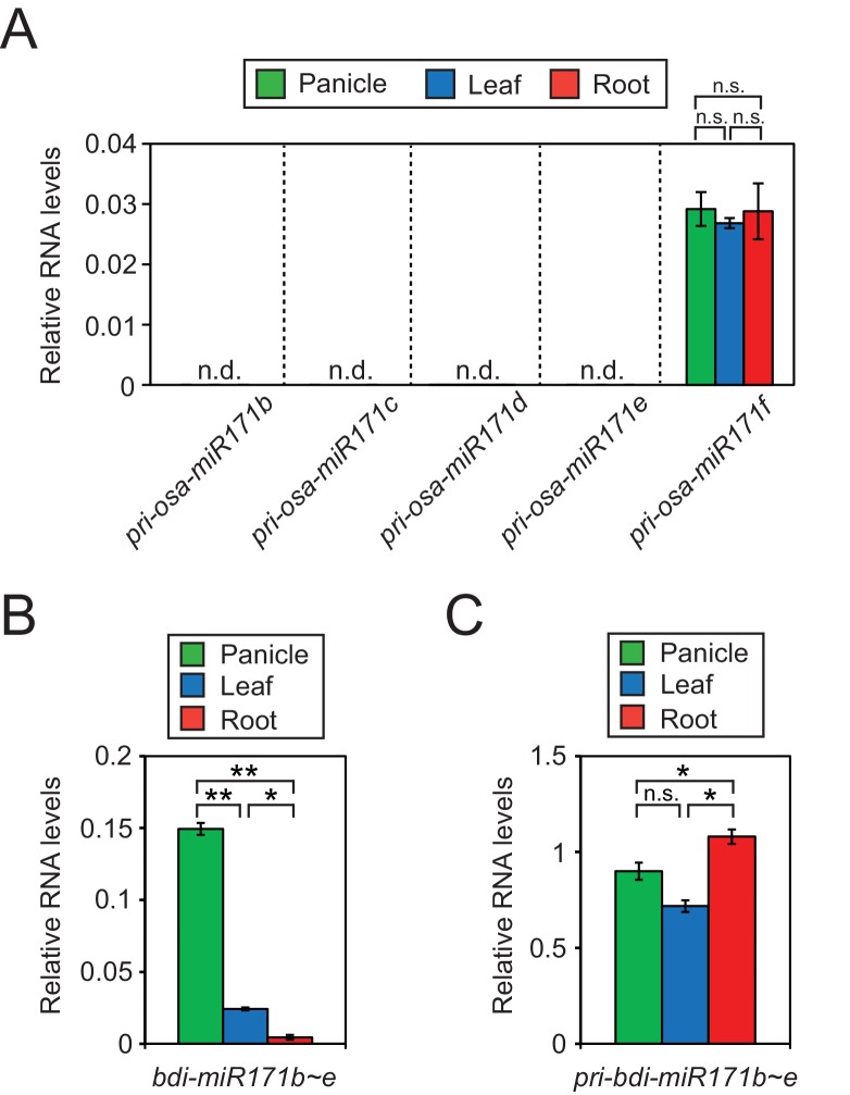 Figure 4—figure supplement 1.